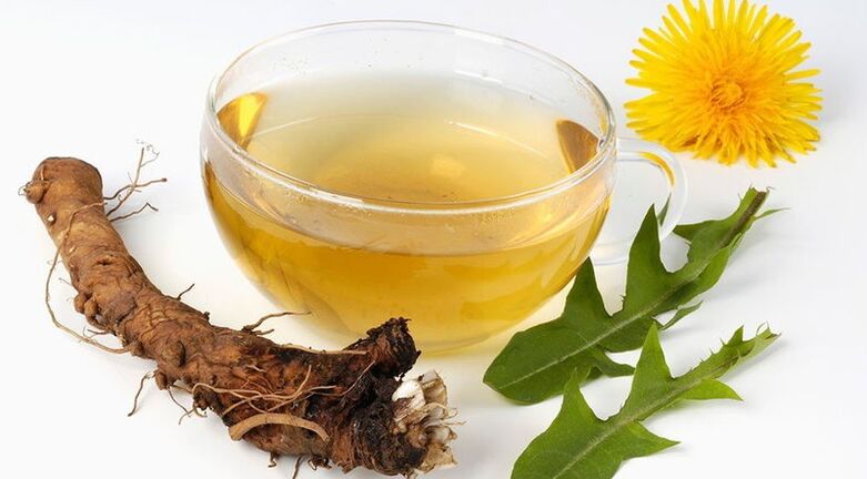 decoction of dandelion root with small pelvic varicose veins