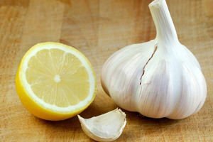 the treatment of varicose veins extract of garlic and lemon