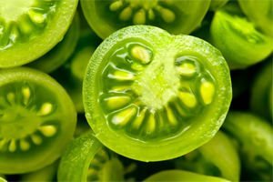 the treatment of varicose veins green tomatoes