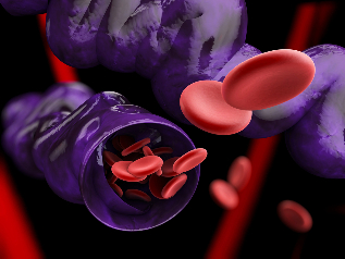 varicose veins are veins